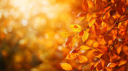 This picture shows a golden autumn leaf with sunlight filtering through, casting warm light and creating a peaceful and beautiful autumn atmosphere.