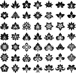 Collection of decorative black and white floral and leaf elements for design projects