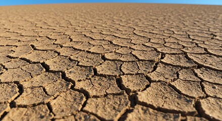 Cracked Earth Under Blue Sky