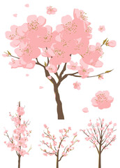 Fototapeta premium Pink Cherry Blossom Tree Vector Set Spring Floral Illustrations for Design