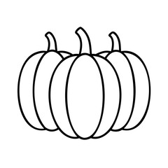 Outline drawing of three pumpkins for thanksgiving harvest celebration and seasonal designs