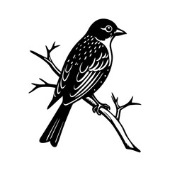 Black and white illustration of a bird perched on a branch vector design