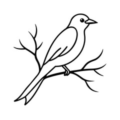 Obraz premium Simple black and white illustration of a songbird perched on a branch