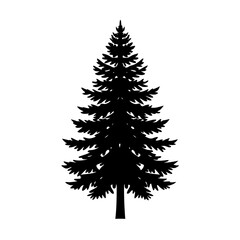 Silhouette of a black pine tree on a white background for design and illustration projects