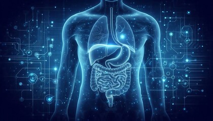 Futuristic Blue Digital Illustration of Human Digestive System with Tech Elements