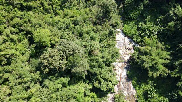 Doi Inthanon Forest Valley
