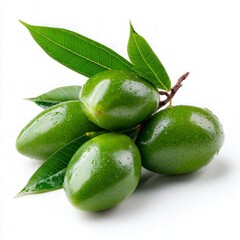 Fresh Green Olives On Branch With Water Drops