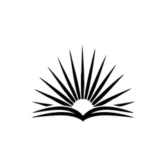 Vector logo of an open book with a radiant sunburst rising from the center.

