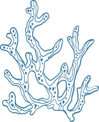 Vector illustration of coral grande branches isolated. Cartoon sea illustration.