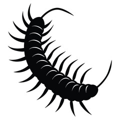 Black silhouette vector of a scorpion and a beetle, isolated small insect creatures on white