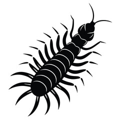 black silhouette of a scorpion