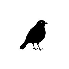 Obraz premium Silhouette of a small bird isolated on white background in vector format