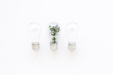 Ecology and green energy concept. Light bulb with green plant inside, top view