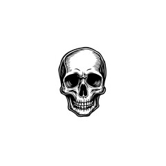 Engraving style skull illustration, creating a spooky and decorative element