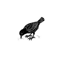 Monochrome vector illustration of a crow pecking at the ground with artistic details