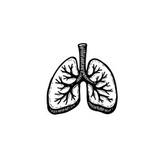 Illustration of Human Lungs: Detailed Anatomical Drawing for Medical or Educational Use