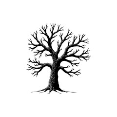 Detailed monochromatic depiction of a bare tree showcasing intricate branch patterns