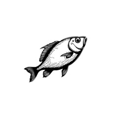 Detailed Black and White Illustration of a Fish with Scales and Fins Isolated