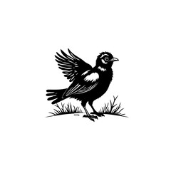 Elegant black and white illustration of a bird with detailed feather work design