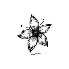Elegant single flower sketch with intricate details, black and white floral art