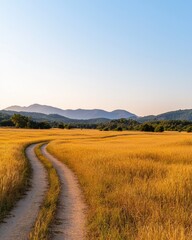 Serene Dirt Path Through Golden Grassland Under Clear Blue Sky with Majestic Mountains in Background