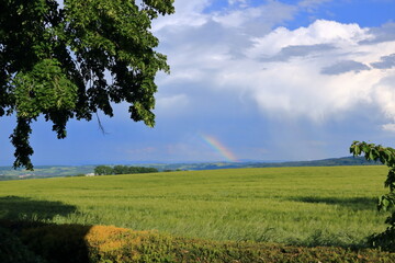 beautiful colorful rainbow over a field in Saxony, Germany