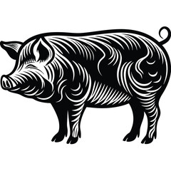 Fototapeta premium Pig Silhouette on White Background