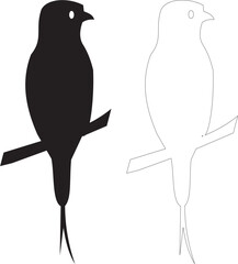 Bird Silhouette Pair on Branch – Black and White Minimal Art