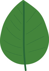 Tropical Leaf Vector Illustration - Flat Green Botanical Elements