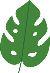 Tropical Leaf Vector Illustration - Flat Green Botanical Elements