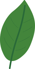 Tropical Leaf Vector Illustration - Flat Green Botanical Elements
