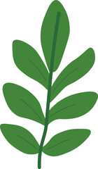 Tropical Leaf Vector Illustration - Flat Green Botanical Elements