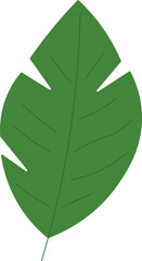 Tropical Leaf Vector Illustration - Flat Green Botanical Elements