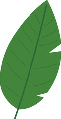 Tropical Leaf Vector Illustration - Flat Green Botanical Elements