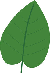 Tropical Leaf Vector Illustration - Flat Green Botanical Elements