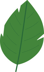 Tropical Leaf Vector Illustration - Flat Green Botanical Elements