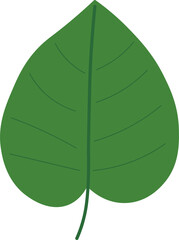 Tropical Leaf Vector Illustration - Flat Green Botanical Elements