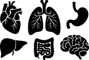 Black Silhouettes of Human Internal Organs