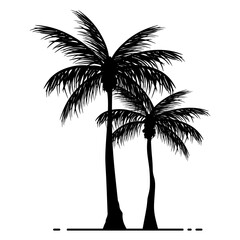Palm tree silhouette detail illustration black and white