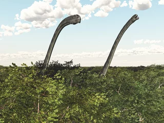 Fototapete Rund Dinosaurier Omeisaurus in einem Regenwald © Michael Rosskothen