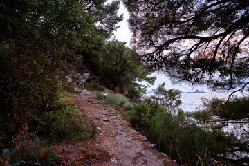 A picturesque winding trail through a forest with lush greenery, framing a beautiful ocean view as the sun sets on the horizon.