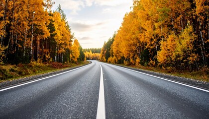 Autumnal Road Trip: Golden Leaves and Asphalt