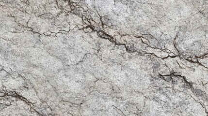 Fototapeta premium Kashmir White Granite Surface with UltraRealistic Texture and Lighting