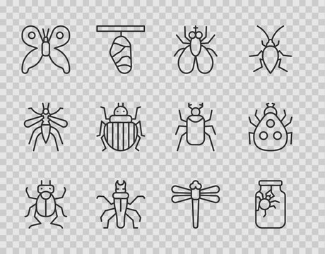 Set line Beetle bug, Spider in jar, Insect fly, Termite, Butterfly, Colorado beetle, Dragonfly and Ladybug icon. Vector