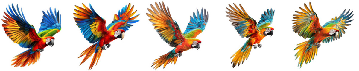Obraz premium Five Scarlet Macaws in Flight, Isolated on Transparent Background, Digital Art, Birds, Macaw, Parrot, Avian