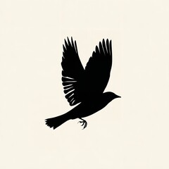 Obraz premium A solitary blackbird takes flight carrying whispers of dawn on its wings against simple soft white