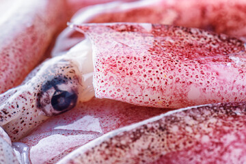 Freshly caught squids. Macro shot