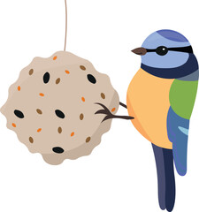 Cute bluetit bird pecking talllow ball. Vector illustration.