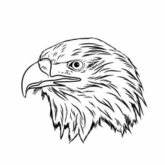 Outline eagle head vector illustration