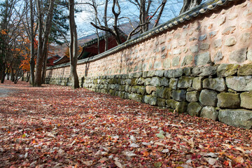 가을 단풍 낙엽이 가득한 사찰 풍경.